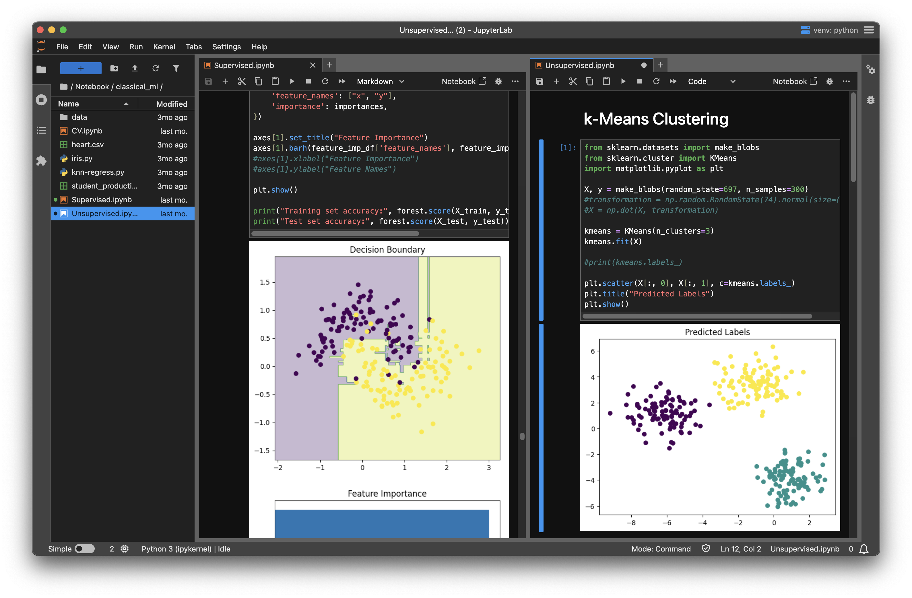 Screenshot of my JupyterLab AI notebook thingy